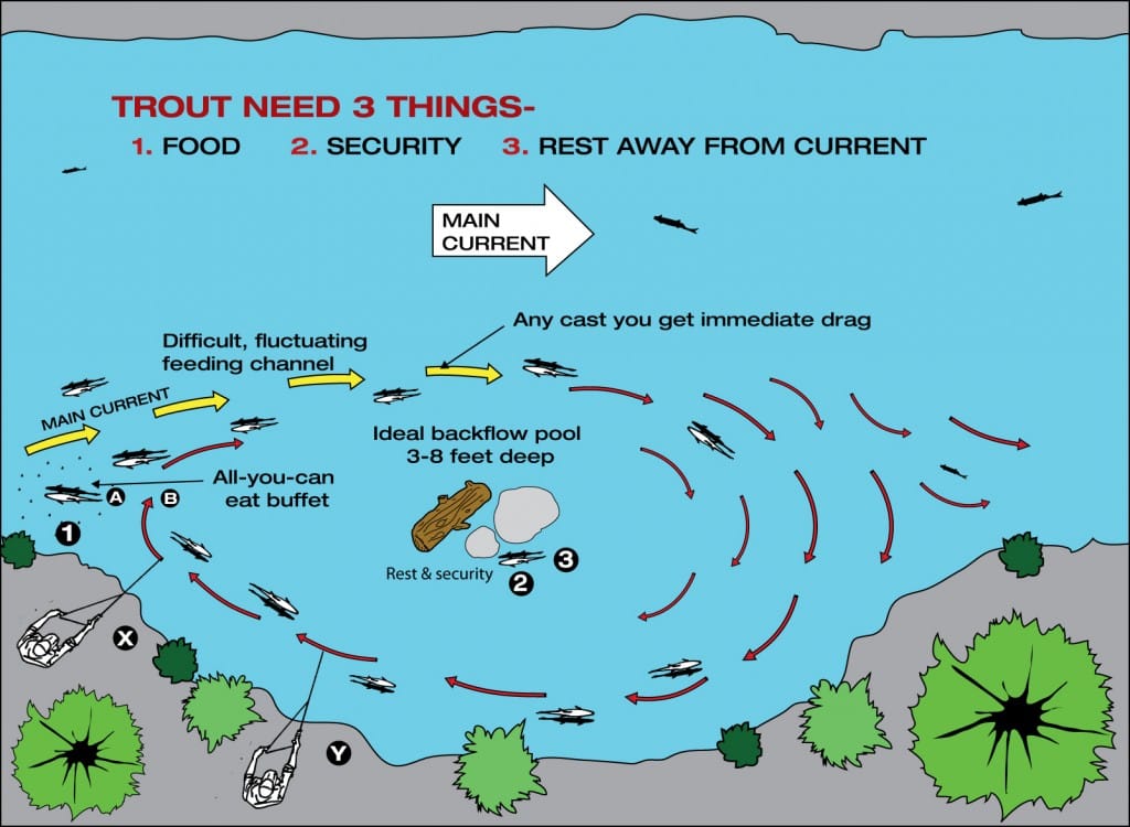 Eddy cycle, illustrated