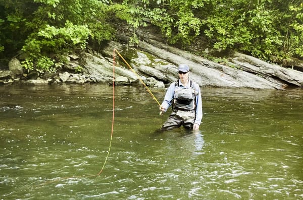 An angler fishes a nymph in a trout stream