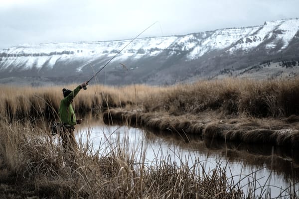 Five reasons to start fly fishing