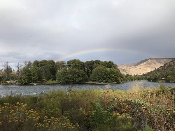 A rainbow over the broad Deschutes river, with foliage in the foreground and a big bluff in the back